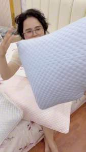 Ruột gối băng lạnh 50x70cm ruột gối Ice Sense kháng khuẩn lõi gối băng lạnh siêu mát