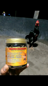 Super Strongs Extra Fooding Plus Jamu Ayam Laga Kemasan Toples