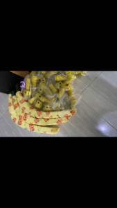 NEW SBL MASTER PRO BAUT 2 ORIGINAL