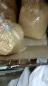 kambu putih USA makanan burung