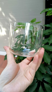 Ly thủy tinh dáng tròn 350ml mã 7585 chịu nhiệt Borosilicat