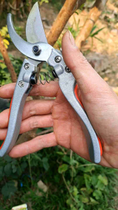 Kéo cắt tỉa cành cây sắc bén bền chắc chắn
