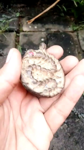 Liontin Lipan Perunggu kuno bermustika