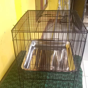 keramba tempat mandi burung ..murai kacer dll uk panjang 40cm lebar 30