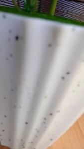 Gubahan Orkid Latex Cymbidium 1 Tangkai Cantik Mewah Murah Sesuai Untuk Hiasan Rumah Dan Pejabat Pilihan Tepat Untuk Keindahan Anda