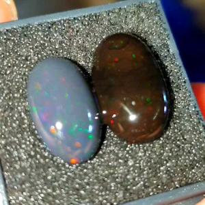 paket kalimaya black opal banten isi 2 pcs