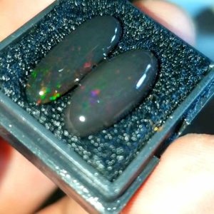 Paket Kalimaya Black Opal Banten