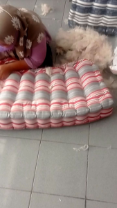 Kasur Kapuk Asli 80 X 200 CM Cap Macan Freeongkir✅