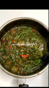 พร้อมส่ง ผักขี้เหล็กต้ม 500 กรัม เนื้อล้วนไม่มีน้ำ ใบขี้เหล็กต้ม ผักขี้เหล็ก แกงใส่ หนังควาย หนังวัว เก็บสดจากต้น รับประกันคุณภาพ