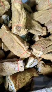 หนังวัวตากแห้ง (5 มัด หนักประมาณ 700-900 กรัม) - มัดใหญ่ซะใจ 1 มัด 5-6 เส้น มหนังเค็ม หนังจี่ หนังแกงขี้เหล็