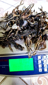 เขียดนา ตากแห้ง ( 100 กรัม )  100% หมักปรุงรสนัวร้านๆ ใช้เมนูอาหารได้หลาย เป็นการส่งอาหารอีสาน