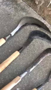 Sabit Pengaritan Serbaguna & Arit Super Tajam: Alat Ngarit Perkebunan Siap Pakai