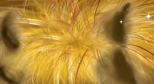 Pop Up Book Aku Datang Hewan Bertelur