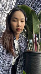 ต้นโครตรวย ต้นไม้มงคล