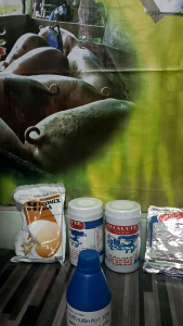 ไบโอคลีน น้ำยากำจัด แบคทีเรีย โรงเรือน อุปกรณ์สัตว์เลี้ยง มีกลิ่นหอมใช้ดับกลิ่นได้ดี