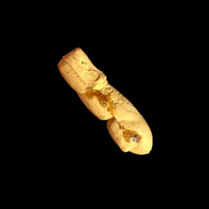 ปลัดหัวชะมดเนื้อสีเหลืองหลวงพ่อเอิบ วัดซุ้มกระต่าย (หนองหม้อแกง)จ ชัยนาท สวยเดิม #4282