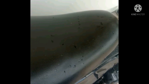 SLINCER KNALPOT NORIFUMI GTX PRO INLET 50MM BUAT ALL MOTOR