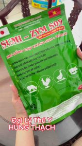Men Tiêu Hoá Sống Sumi Zym S09 (1kg) cung cấp men sống có lợi đường ruột vật nuôi dễ tiêu hạn chế tiêu chảy đi phân đóng khuôn vật nuôi ngon miệng
