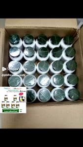 แพ็ค 6 มีของแถม Maxxlife สาหร่ายเกลียวทองGD1  สไปรูลิน่า 100 เม็ด