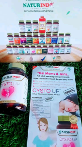 Obat Herbal Kista Dan Miom CYSTO UP Naturindo Isi 50 Kapsul