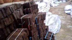 Media Tanam Akar Pakis Balokan untuk Tanaman Hias Anggrek dan Anthurium