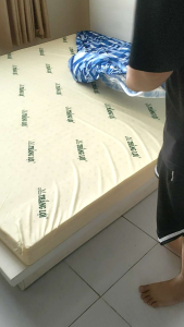 Nệm cao su non Thắng Lợi 1m6*2m*10cm ( Chính Hãng BH 15 năm)