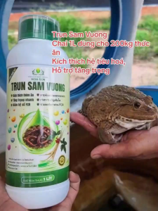 TRUN SAM VUONG 1L – Hỗ Trợ Tôm Cá Ăn Tốt Tăng Trọng Tối Ưu FCR