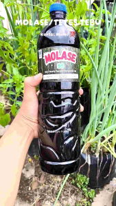 Molase 2kg Murni Tetes Tebu Tanpa Campuran 100%