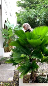 Gamis jumbo model floy Ukuran S M L XL XXL 3XL 4XL bahan twill tebel dan jatuh lembut dan adem cocok untuk harian baik dirumah atau diluar rumah