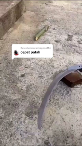 Egrek anti patah Top-M original Malaisya Bonus Taji