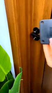 TaffHOME Tutup Pintu Otomatis Automatic Door Closer 800g - MO-206