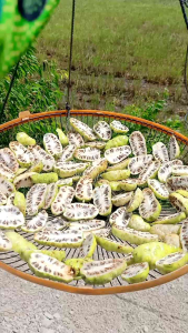 1Kg Trái Nhàu Phơi Khô Tự Nhiên Hỗ Trợ H.ạ H.uyết Á.p - Su.y Giản T.ĩnh M.ạch - U.ng Thư - Giả.m Đ.au N.hức