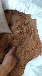 Serutan/sekam alas kayu kasar dan halus uk 500-1kg untuk alas kandang marmut kelinci atau unggas lain nya