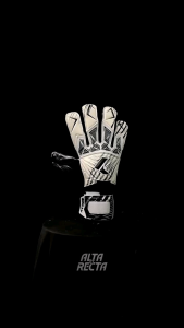 Sarung tangan kiper terlaris Ayres Alta terbaru