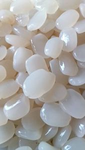 Buah kulang Kaling / buah aren segar / caruluk 1 kg