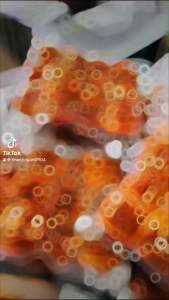 Hồng sấy dẻo đà lạt ( 1kg )