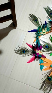 Bros Bulu Merak: Hiasan Acara & Dekorasi Formal