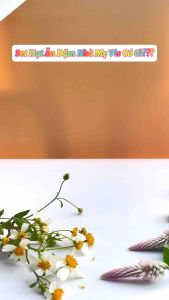 Set Hạt Dinh Dưỡng Nấu Cháo Cho Bé Ăn Dặm Hũ 100gr Tiện Lợi