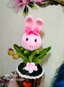 Hoa kẽm nhung thỏ chậu hoa để bàn chậu hoa mini