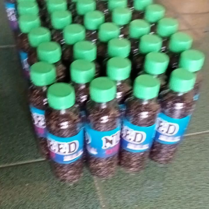 pakan burung canary Niger seed