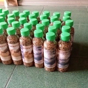 pakan burung branjangan mahkota super