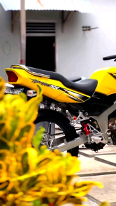 Striping Sticker Lis Decal Standar Ori Kawasaki Ninja SS 2013 Kuning