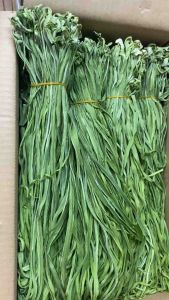 500g Rau Tiến Vua Khô Dai Giòn Đặc Biệt