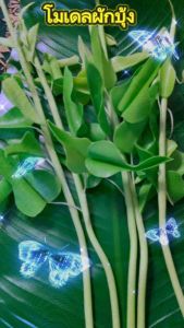 ผักบุ้งปลอม (ขายยก 5 ต้น) วัสดุผลิตจากดิน ล้างน้ําไม่ได้