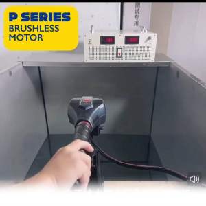 P Series Brushless Motor 12v / 24v Electric outboard Motor
