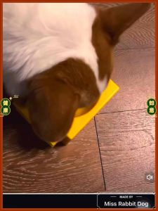 MQ Dog Canned Wet Food Pet Dog Snack 130g喵犬厨房狗主食罐头营养原切肉蔬罐头 宠物狗拌饭神器湿粮 鸡肉炖南瓜、鸭肉炖冬瓜、牛肉炖胡萝卜 狗狗罐头湿粮营养辅食拌粮