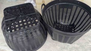 กระถางพลาสติกหนา สีดำ จัมโบ้ ขนาดใหญ่พิเศษ 65*50*45 🌳รากเดินดี