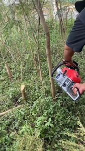 เลื่อยตัดไม้ 5800 YAMATEX ของแท้ แน่นอน