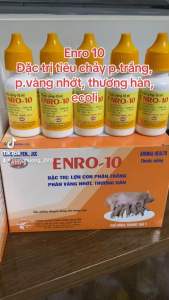 ENRO 10 (chai 100ml) của Hùng Nguyên dứt điểm tiêu chảy cho động vật