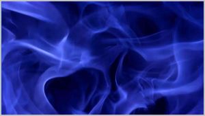 OBAT DOPING AYAM VENOM